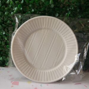 PLATO DESCARTABLE X10 UNIDADES cod6084