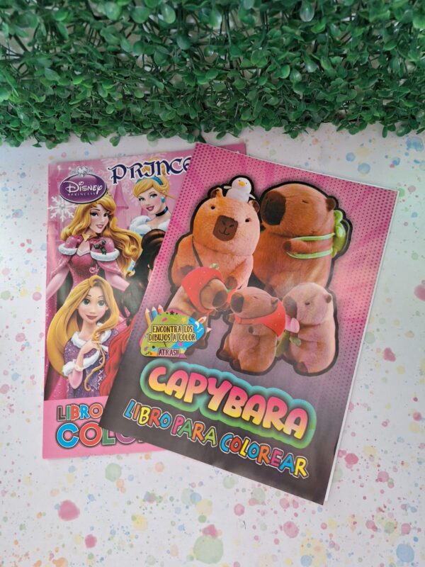 LIBRITO PARA COLOREAR cod 2000