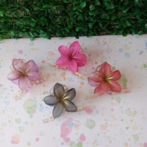 BROCHE GRANDE KAROL cod7089