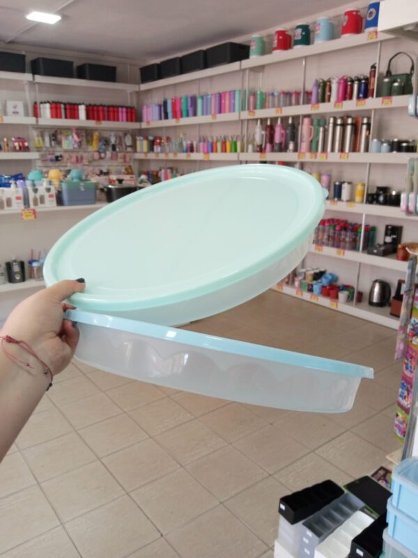 CONTENEDOR TARTERO cod7420