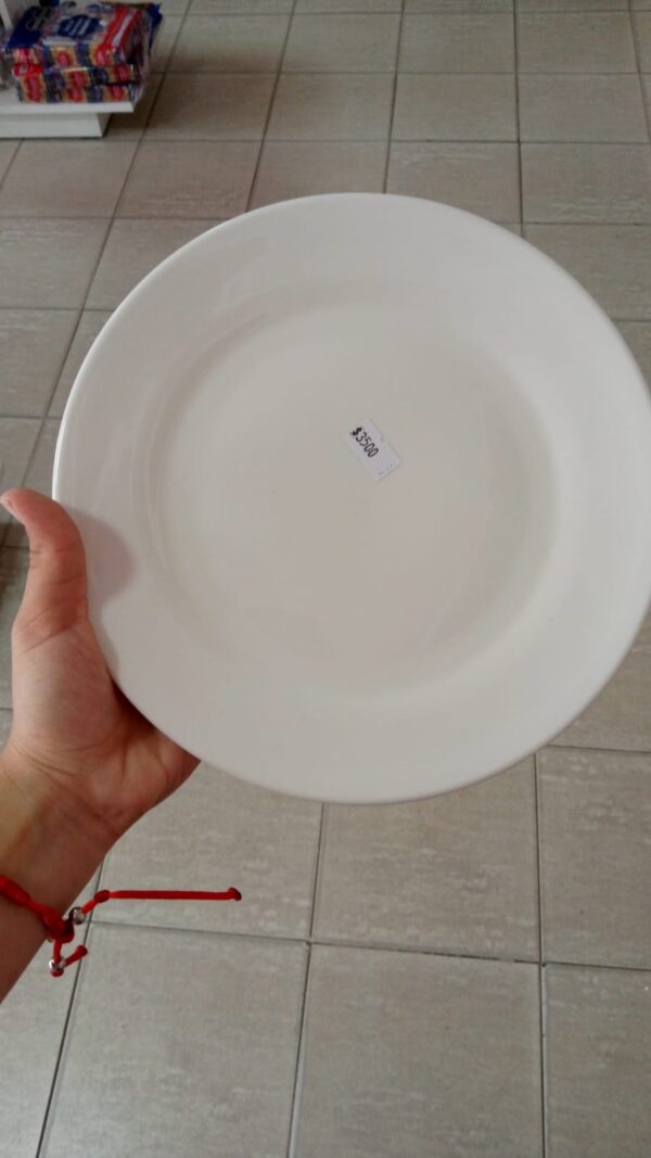 PLATO PLAYO CERAMICA LISO cod