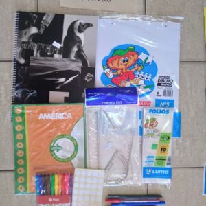 COMBO SECUNDARIA 15 PRODUCTOS cod7987