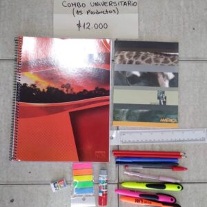 COMBO UNIVERSITARIO 15 PRODUCTOS cod7986