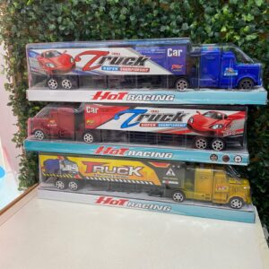 CAMION cod9109