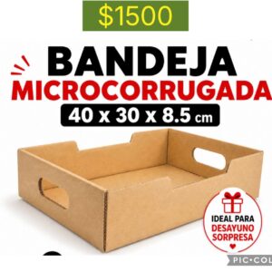 BANDEJA MICROCORRUGADA cod