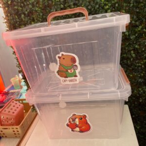 ORGANIZADOR TRANSPARENTE CHICO 31X24X20 cod9187